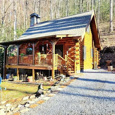 Little Wolf Cabin Villa Maggie Valley Exterior photo