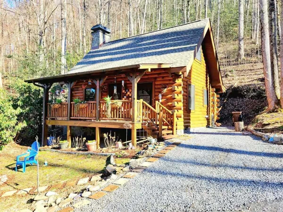 Little Wolf Cabin Villa Maggie Valley Exterior photo